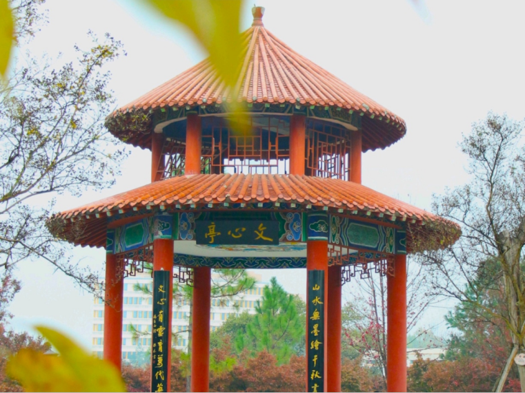 “我与师大的第一次遇见”摄影大赛成功举办